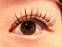 レミア 関内(REMIA)/8月　フラットラッシュ