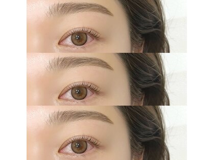 アテ(Ate)の写真
