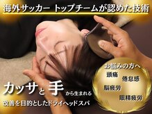 メディカルヘッド