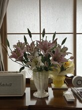 リリーグレイス(LilyGrace)/