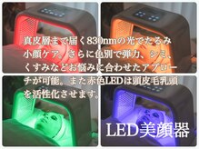 チップ(chip)/【LED美顔器】