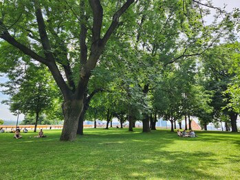 ユウキシキ(YUKISIKI)/YUKISIKI小顔矯正&美容鍼海外OFF