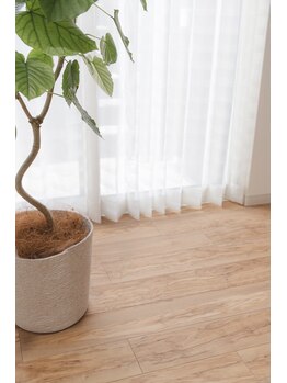 ルアン鍼灸院(LeUN鍼灸院)/観葉植物