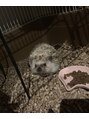 エイティスト(8ist)&nbsp;愛ハリネズミぱぱ君♪[新宿/新宿歌舞伎町]