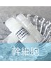 【髪の悩み/頭皮改善】エイジングケアヘッドスパ　100分　¥22,000 「幹細胞」