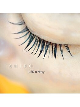 シロ(SHIRO)/LED ネイビー120