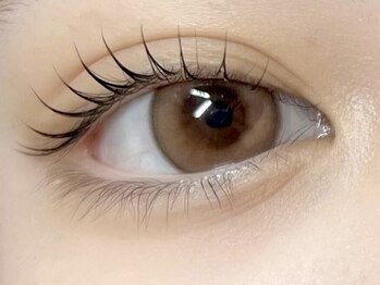 セレブヒルズ 仙台駅前店(Celeb Hills)の写真/【NEWOPEN】韓国アイドル束感まつ毛パーマが人気No1◎【スマート支払い上のみ¥2750/上下¥4400】