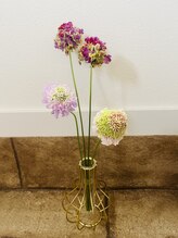 桜香(ほのか)/スカビオサ