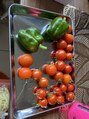 キュロン(quro.n)&nbsp;夏の時期はお庭でお野菜を育てて収穫するのを楽しんでます