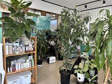 セリーヌプラス(CELINE+)/店内