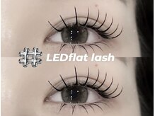 プラス ファースト(Plus 1st)/