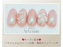 アルテミス(Artemis)/定額デザイン15種＊カラー変更◎