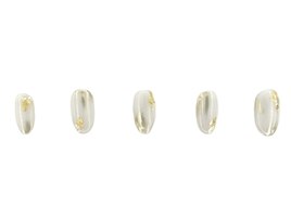 定額パールコース