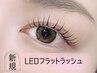 ＼ご新規様限定価格♪／【束感】LEDフラットラッシュ100本　¥6000