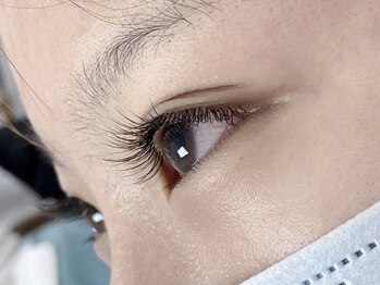 サロンドルネ(Salon De Rene)/フラットラッシュ140本