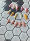 定額Duaコース