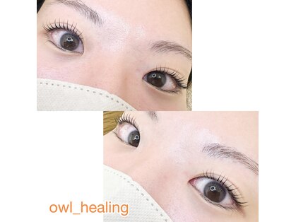 オウルヒーリング(Owl healing)の写真