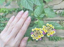 ハウスアンドアイラッシュ ネイル(House&eyelash nail)