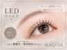 〔初回〕LED (フラットラッシュ)+持続UPアイシャンプー100本　￥5,900