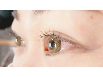 シルドラパン(cils de Lapin)/パリジェンヌラッシュリフト