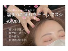 レユシール(reussir cosmetic salon)/ドライヘッドマッサージ