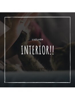 ルースラッシュ 赤坂店(Luzlash)/インテリア