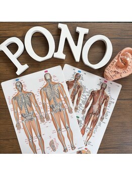 ポノ(Pono)/【耳ツボ】
