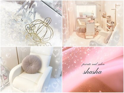 シャシャ(shasha)の写真