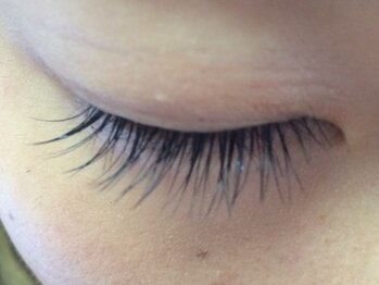 シュシュ(chou chou)/セーブル100本(chouchou吉祥寺)