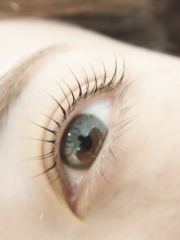 エステティックサロン プリマドール(prima doll)/まつげパーマ