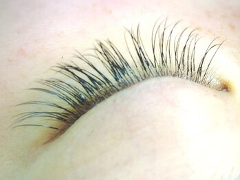 アイラッシュサロン ソル(SOL)/まつげデザイン5