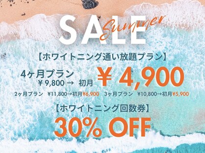 シロ(SHILO)の写真