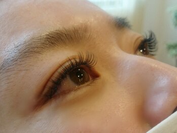 カーム(CALM)/ボリュームラッシュ　120束