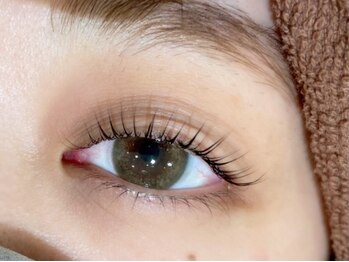 バレッタ(Barretta by neolive)/パリジェンヌ☆¥5980