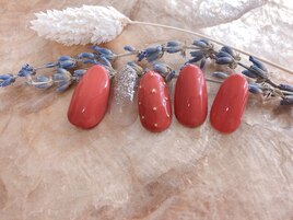 9月定額デザインAコース