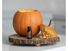 アクアマリン(aquamarine)/メデカルオイル/ドテラ使用♪