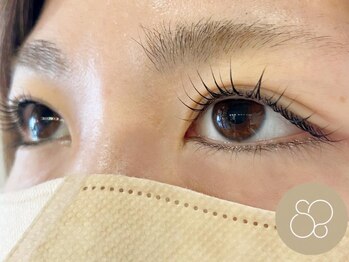 ラソ プエルト(LAZO puerto)/ラッシュリフト