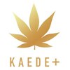 カエデプラス 小倉井筒屋店(KAEDE+)ロゴ