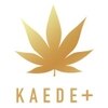 カエデプラス 小倉井筒屋店(KAEDE+)のお店ロゴ