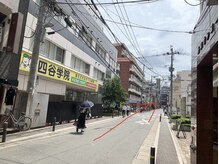 レティツィア(Laetitia)/