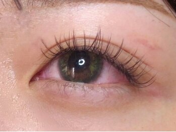 ウルカ アイラッシュ(uruka EYELASH)/フラットラッシュブラウン 140本