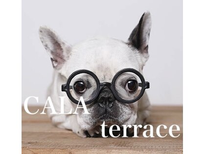 カルア テラス(CALA terrace)の写真