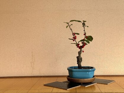 リラクゼーションサロン 甲の写真