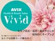 ビビット(AVIX Vivid)の写真