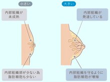 バストが大きくならなかった原因をご存知ですか？