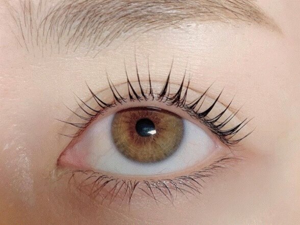 ☆再来☆次世代まつ毛パーマ！パリジェンヌラッシュリフト［上］　￥6,700