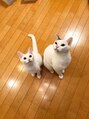 シッポ(Sippo)&nbsp;うちの猫です！
