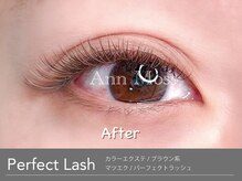 アンモス 日本橋店(Ann Moss)/人気のブラウンカラーエクステ