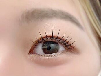 シ ベル(Ci belle)/束感まつげ/まつげパーマ/韓国風