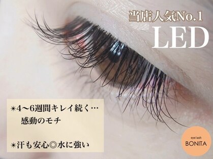 ボニータ(BONITA)の写真